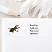 クワガタの漫画イラストレーション ラベル (インサイチュ)