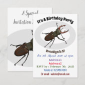 クワガタの漫画イラストレーション 招待状 (正面/裏面)