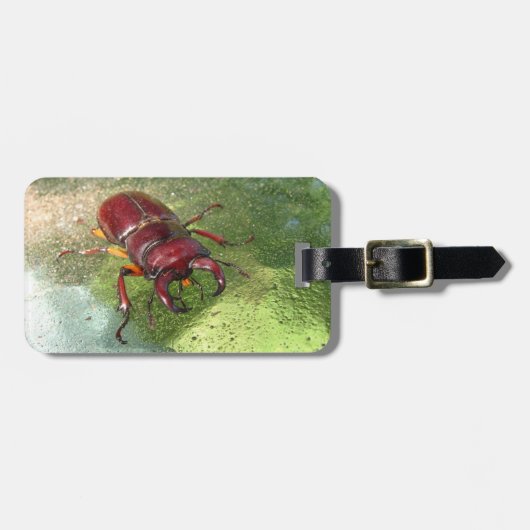 クワガタムシの~の荷物のラベル ラゲッジタグ (正面横)