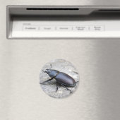 クワガタ磁石 マグネット (インサイチュ (食洗機))