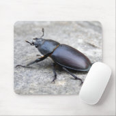 クワガタ虫マウスマット マウスパッド (マウス)