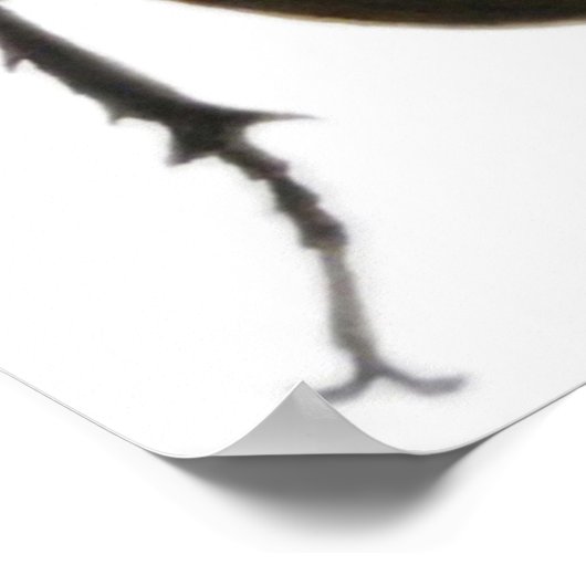 クワガタ2011 ポスター (角)