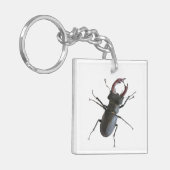 クワガタ キーホルダー (正面左)