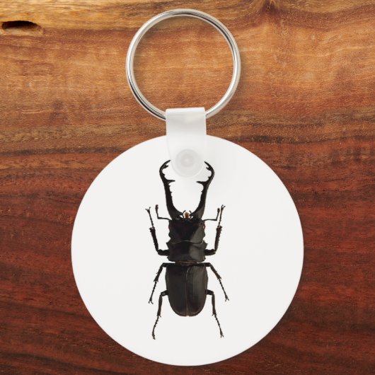 クワガタ キーホルダー (正面)