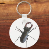 クワガタ キーホルダー (正面)