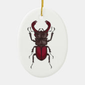クワガタ セラミックオーナメント (正面)