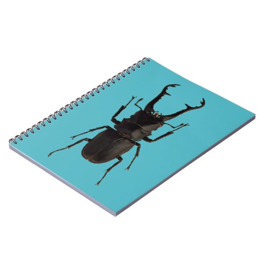 クワガタ ノートブック (左側)