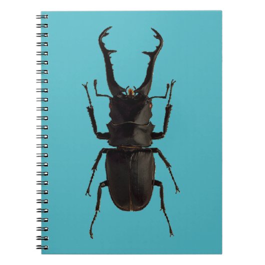 クワガタ ノートブック (正面)