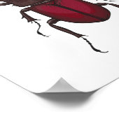 クワガタ ポスター (角)