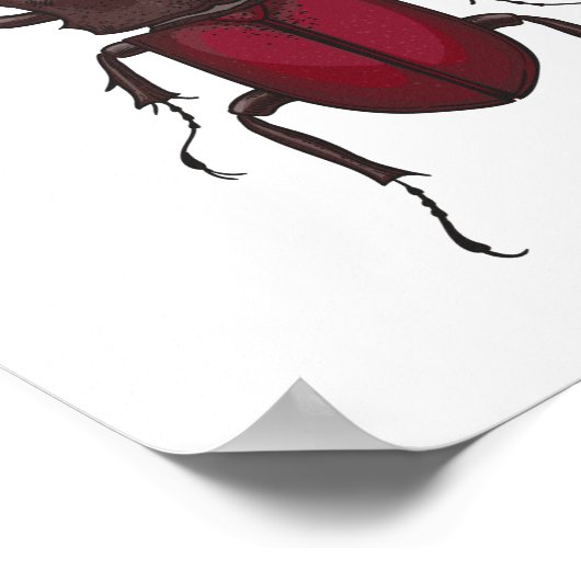 クワガタ ポスター (角)