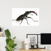 クワガタ ポスター (ホームオフィス)