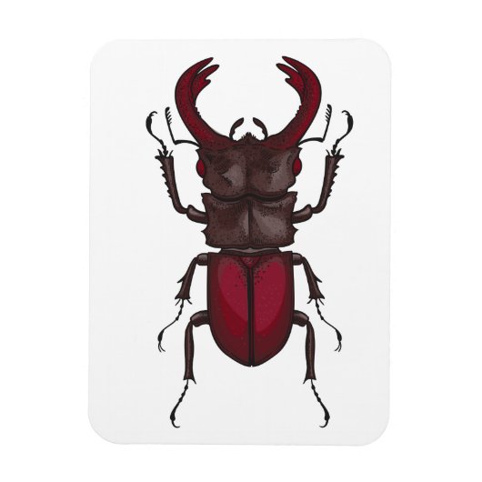 クワガタ マグネット (縦)