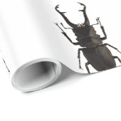 クワガタ ラッピングペーパー (ロールコーナー)