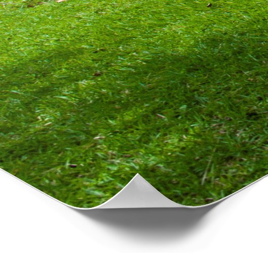 クワト島の石教会 ポスター (角)