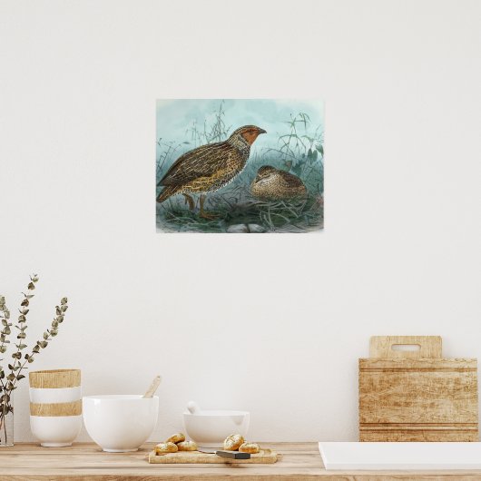 クワ日本のイルヴィンテージバードイラストレーション ポスター (キッチン)