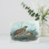 クワ日本のイルヴィンテージバードイラストレーション ポストカード (スタンド正面)