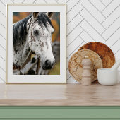 クンアブアッパー ポスター