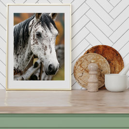 クンアブアッパー ポスター