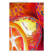 クンカッツオレンジ柑橘類の水彩フルーツアート (正面)