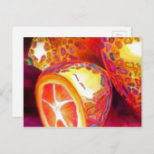 クンカッツオレンジ柑橘類の水彩フルーツアート ポストカード (正面/裏面)