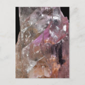 クンジテ ポストカード (正面)