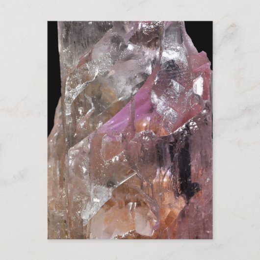 クンジテ ポストカード (正面)