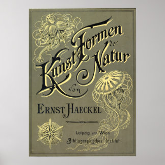 クンストフォーメンデルナトゥールカバー ポスター