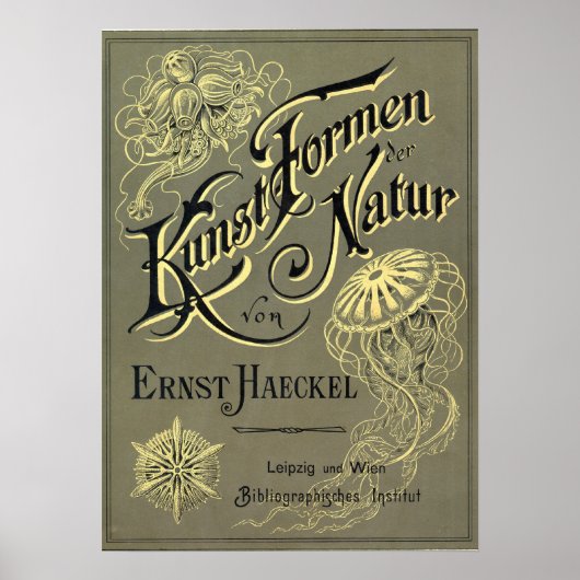 クンストフォーメンデルナトゥールカバー ポスター (正面)