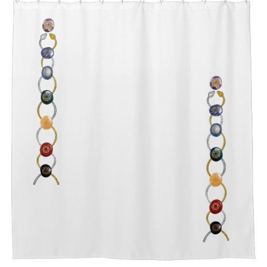 クンダリーニチャクラ/ストーンズ&ヘビ シャワーカーテン (正面)