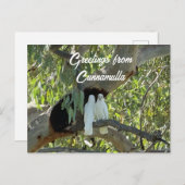 クンナミュラからの挨拶 ポストカード (正面/裏面)