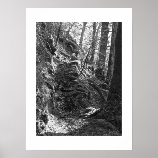 クンブリア・ハードウィック・ヒツジ ポスター (正面)