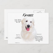 クヴァスヒストリーデザイン ポストカード (正面/裏面)