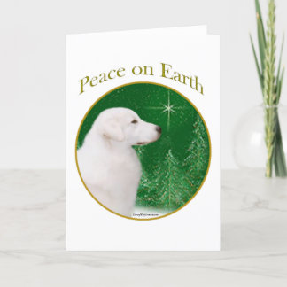 クヴァス平和 シーズンカード