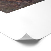 クーカブラス ポスター (角)