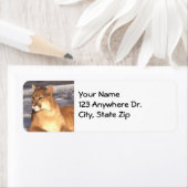 クーガレスト ラベル (インサイチュ)