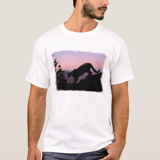クーガーとグランドキャニオン Tシャツ (正面)
