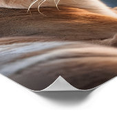 クーガーのクローズアップポートレート ポスター (角)