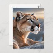 クーガーのクローズアップポートレート ポストカード (正面/裏面)