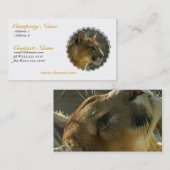 クーガーのピューマの名刺 名刺 (正面/裏面)