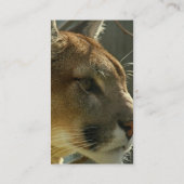 クーガーのピューマの名刺 名刺 (裏面)