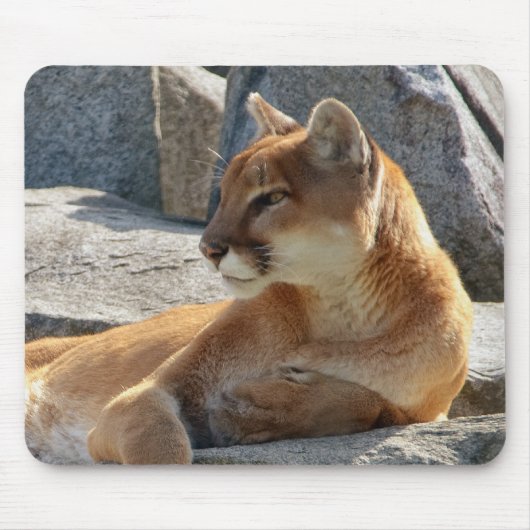 クーガーのマウスパッド マウスパッド (正面)