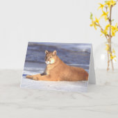 クーガーの休息カード カード (黄色い花)