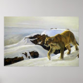 クーガーの国 ポスター (正面)