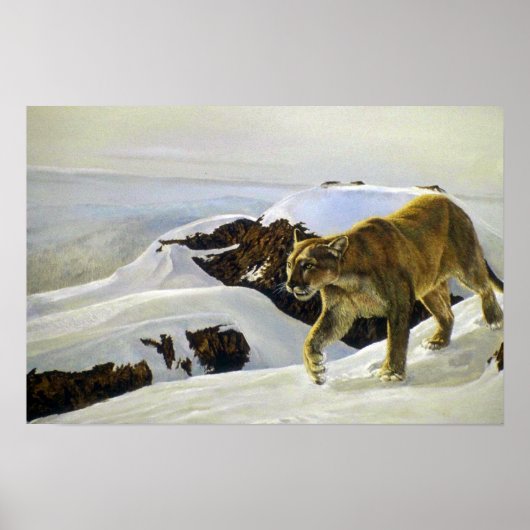 クーガーの国 ポスター (正面)