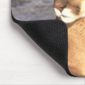 クーガーの残り マウスパッド (コーナー)