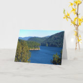 クーガーの 挨拶状 カード (黄色い花)