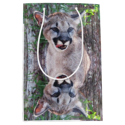 クーガーカッブスモールまたはミディアム抱き枕 ミディアムペーパーバッグ (正面)