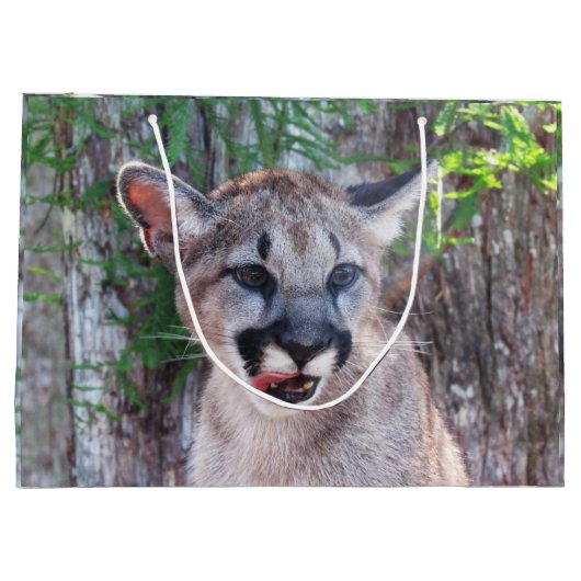 クーガーカッブラージ抱き枕 ラージペーパーバッグ (裏面)