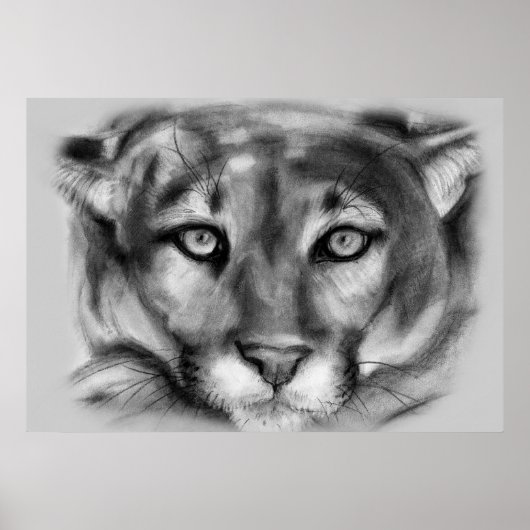 クーガースケッチ ポスター (正面)