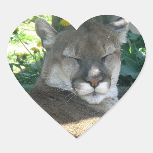 クーガーステッカー ハートシール (正面)